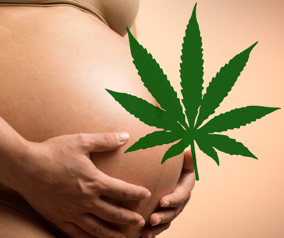 Le cannabis durant la grossesse